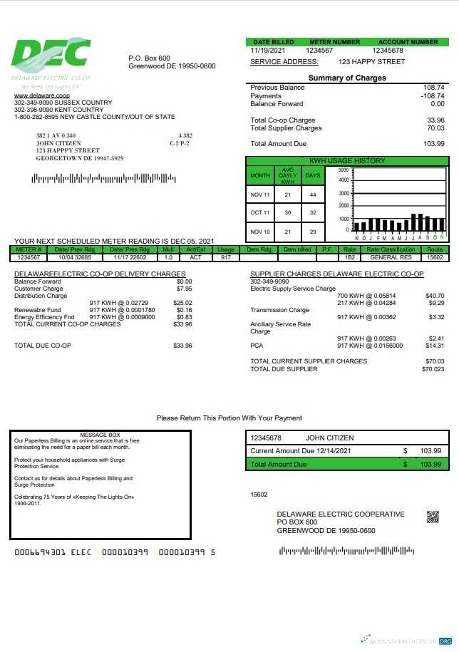 download download USA Delaware Electric Co op utility bill template in Word and PDF format PDF template PDF template